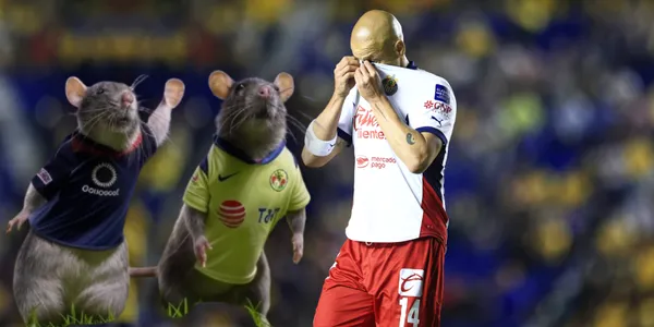 Chicharito / Foto: MEXSPORT