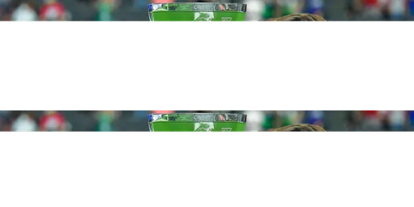 Chivas y Veljko Paunovic podrían recibir una sanción tras las declaraciones del DT tras la eliminación ante Sporting Kansas City