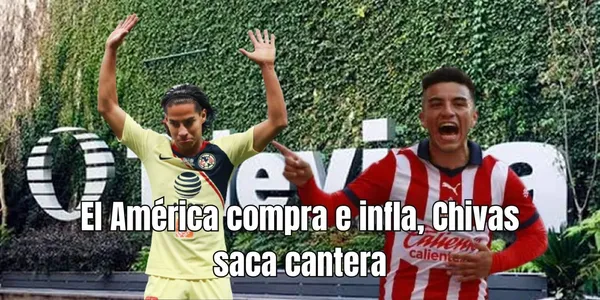 De no ser por la televisora del sol, los canteranos wilos ni se notarían, el ejemplo que les pone el rebaño