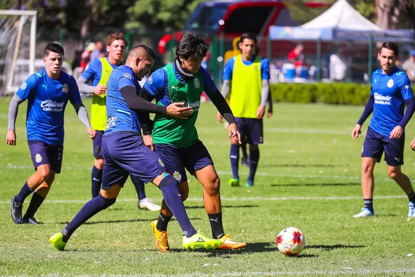 El delantero del Guadalajara se perdió los últimos tres partidos del equipo por lesión.