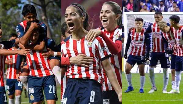 El éxito de las otras categorías demuestra que Ricardo Peláez no es el indicado para Chivas.