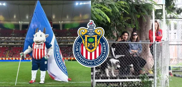 El famoso personaje terminó por destapar el tráfico de influencias que aqueja a Chivas.