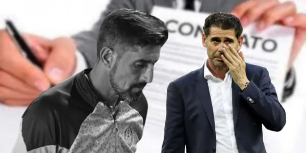 El motivo por el que Veljko Paunovic no renovaría con Chivas y podría salir a final de temporada