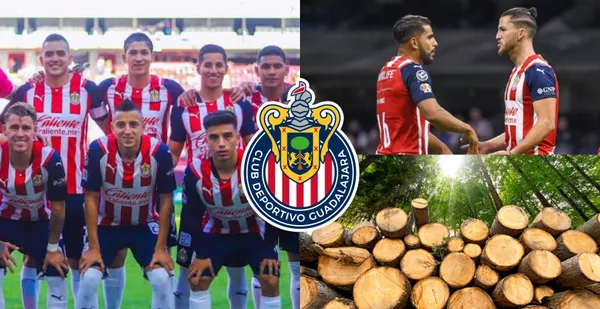 El Rebaño aún no logra encontrarle equipo a este par de troncos.