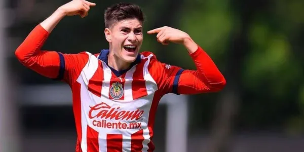 Hormiga con Chivas/Record