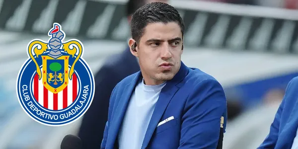 Vaca en transmisión. Foto: Imago