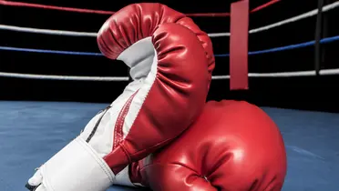 Foto tomada de Canva