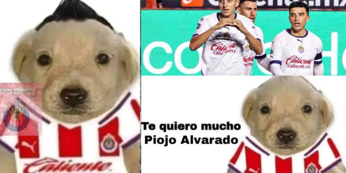 Piojo Alvarado, meme que circula en redes sociales / Heraldo Deportes