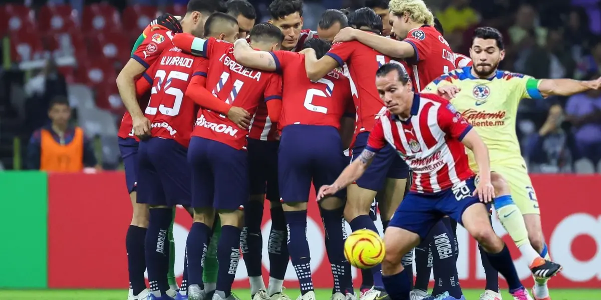 El merecido reconocimiento que recibió el Oso