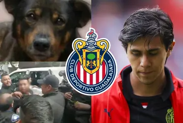 José Juan Macías sería uno de los jugadores de Chivas más indignados por lo sucedido con el perro Benito.