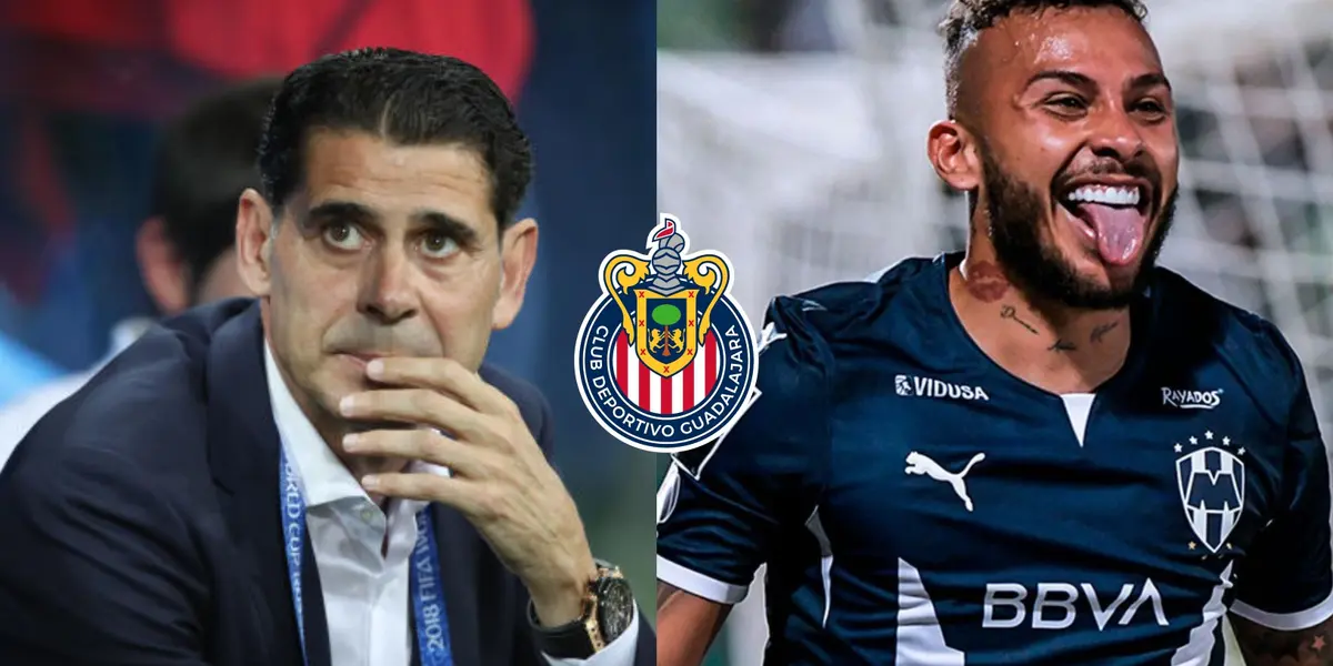 Los pinguinos siguen presionando el mercado nacional.