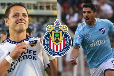 No sería gracias a Luis Suárez; el empresa por el que Javier Hernández llegaría a Chivas.