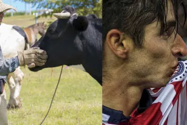 Nunca comprendió la grandeza de las Chivas, ahora cuida vacas.