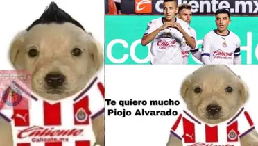 Piojo Alvarado, meme que circula en redes sociales / Heraldo Deportes