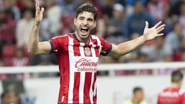 Pollo vuelve a demostrar coraje