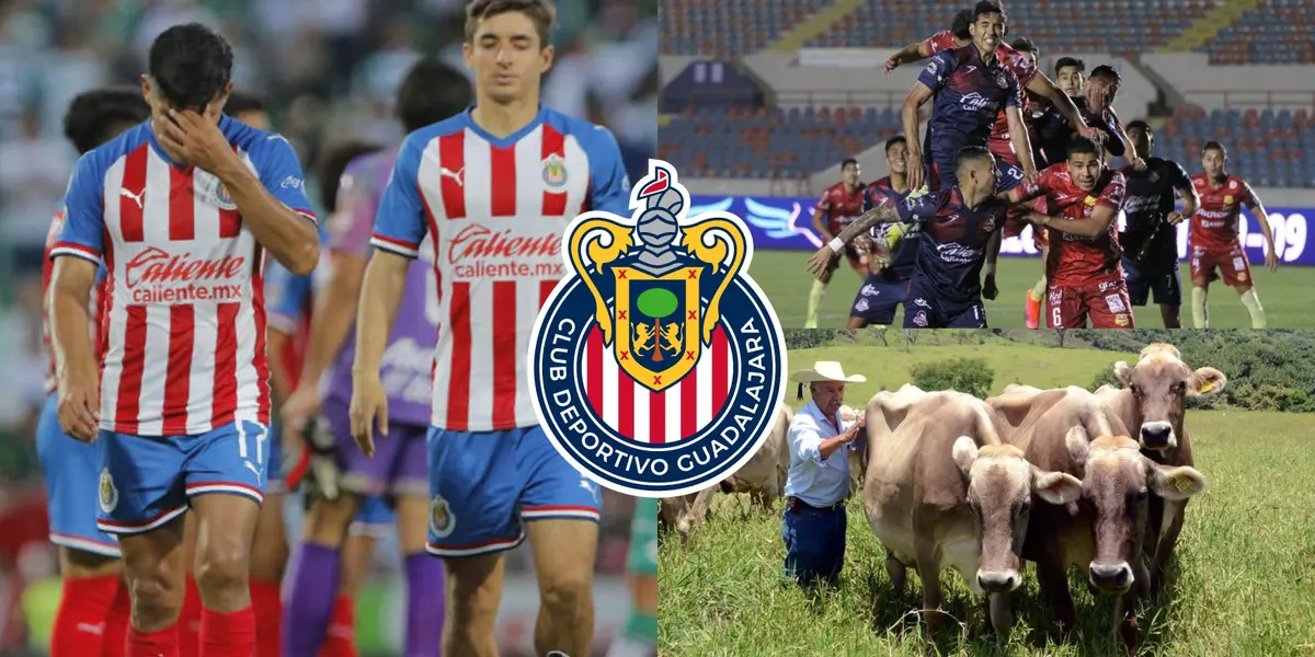 Sin mucho esfuerzo lo ganó absolutamente todo con Chivas y ahora se dedica a la ganadería.