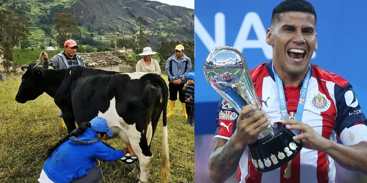 Tenía condiciones para dar el salto a Europa, pero le pesó el tema de las fiestas, ahora se dedica al cuidado de ganado vacuno.