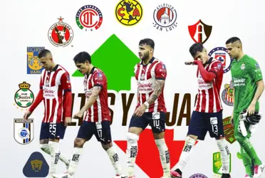 Una alta y una baja estarían casi confirmadas en el rebaño para la siguiente temporada